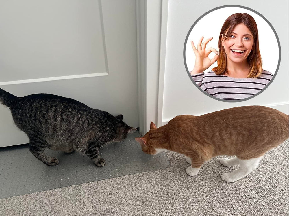 KittySmart Carpet Scratch Stopper fits standard U.S. doors for easy ordering