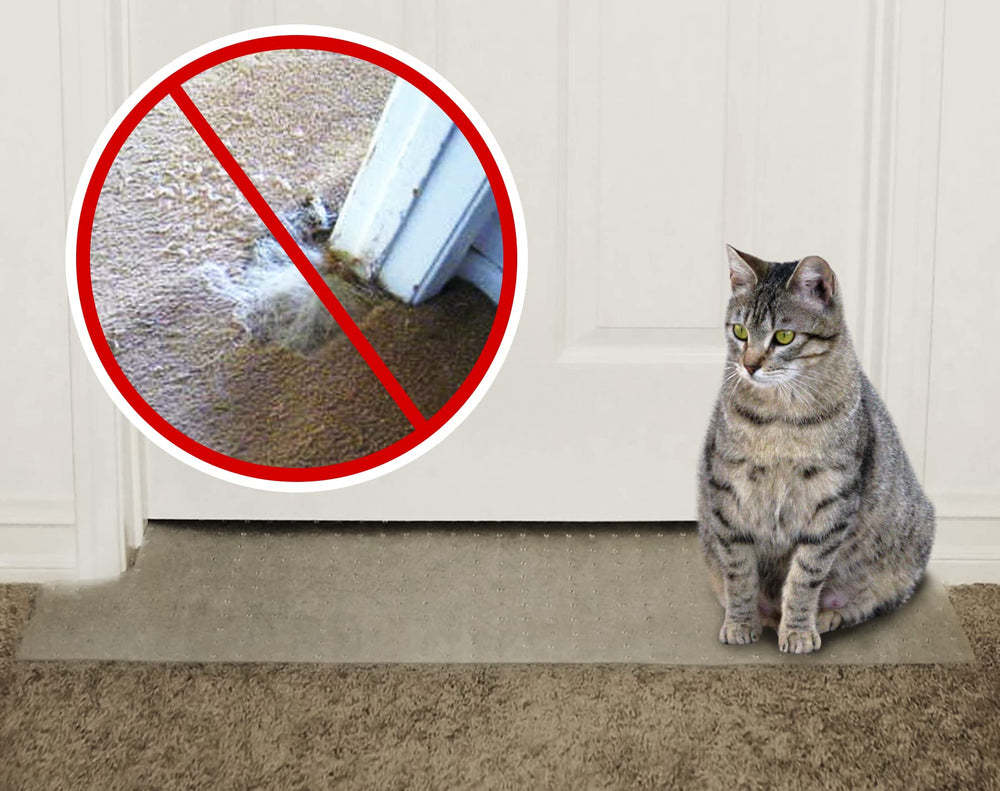 KittySmart Carpet Scratch Stopper in doorway demonstrates instant carpet protection