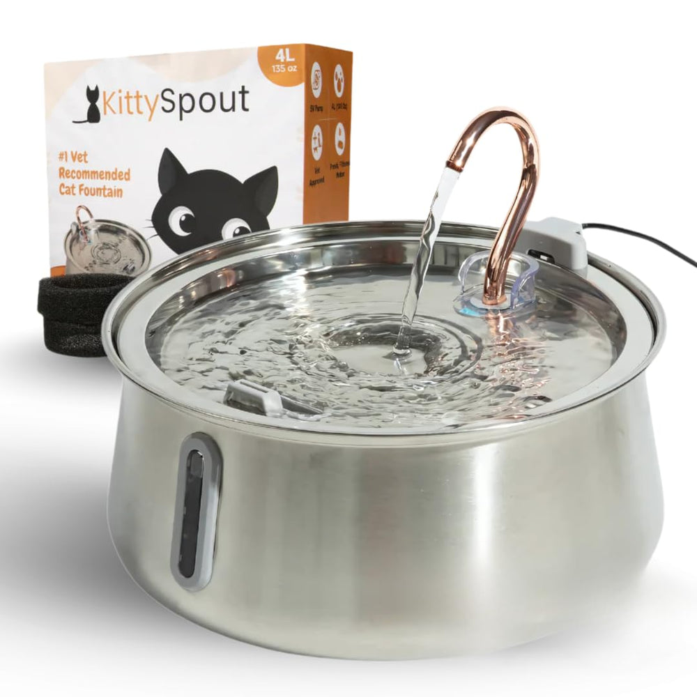 KittySpout 4L-capacity water fountain keeps multi-cat homes hydrated with fewer refills.