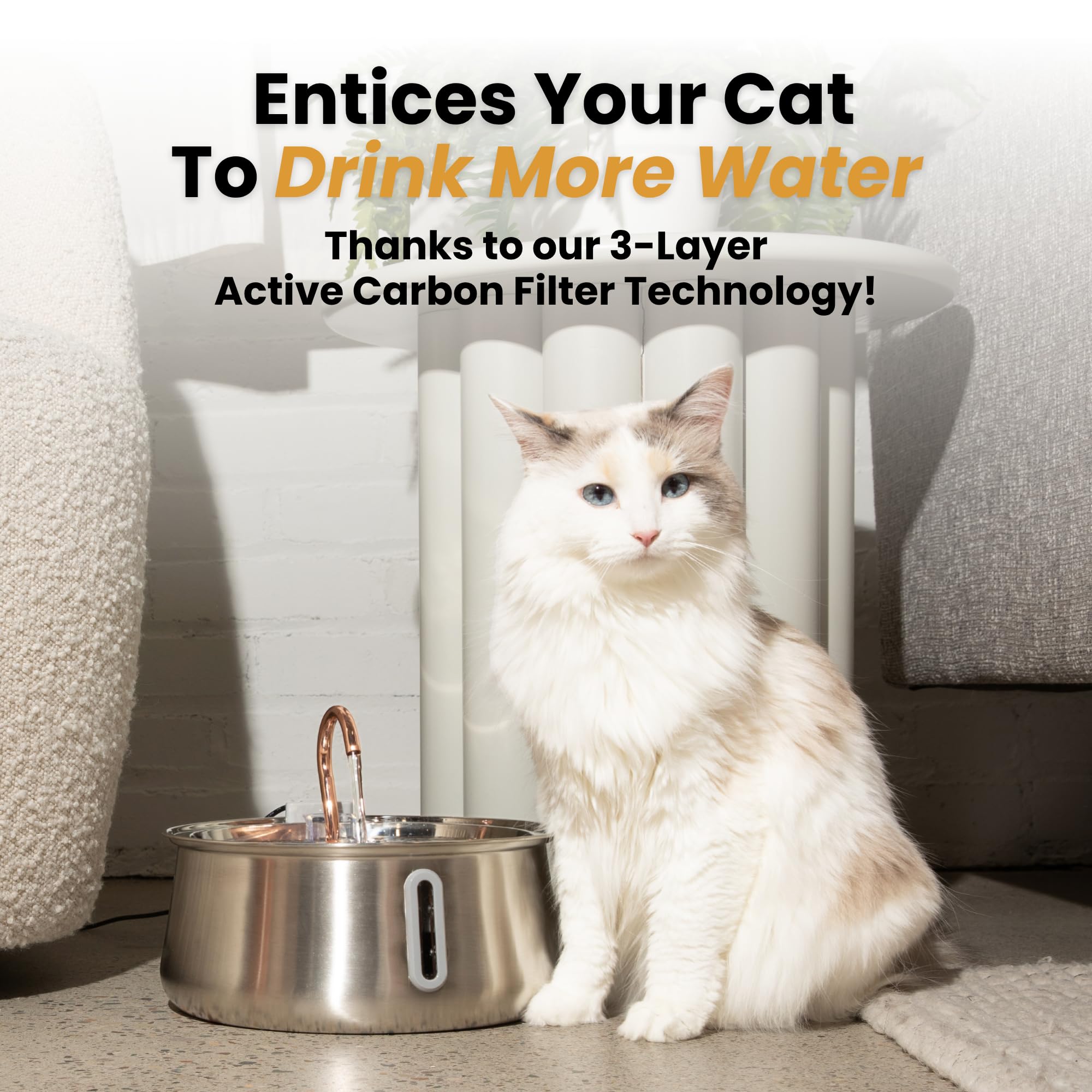KittySpout dishwasher-safe-top simplifies cleaning after meals.