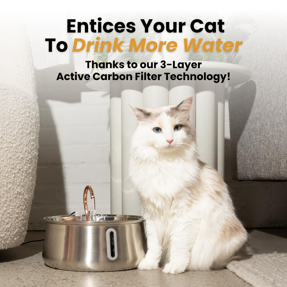 KittySpout dishwasher-safe-top simplifies cleaning after meals.