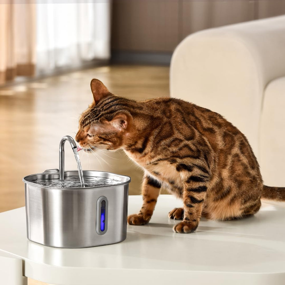 KittySpout durable stainless steel construction resists stains for long-lasting use.