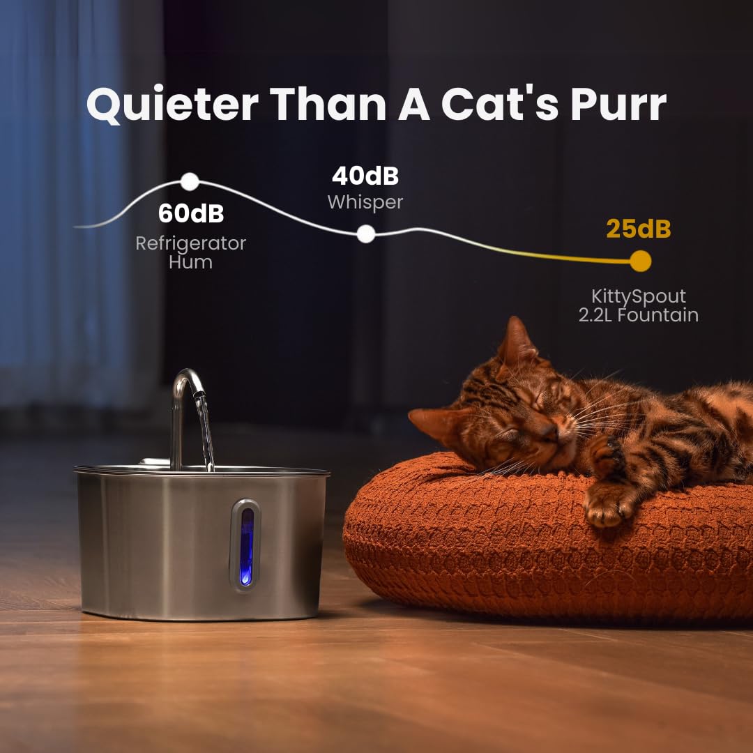 KittySpout large 4L reservoir supports multi-cat hydration with fewer refills.