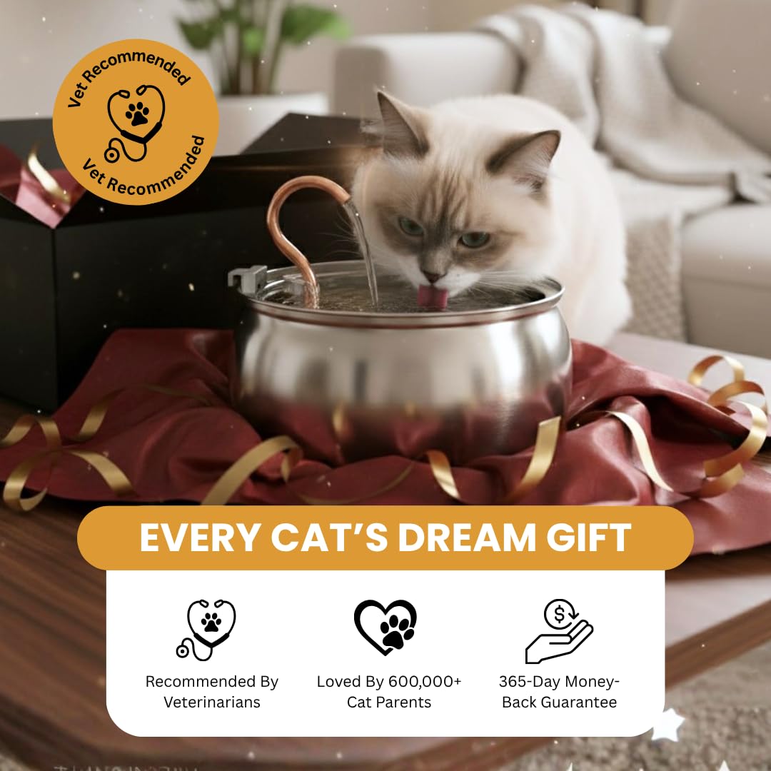 KittySpout quiet-pump-operation delivers a peaceful background hum for calm living spaces.