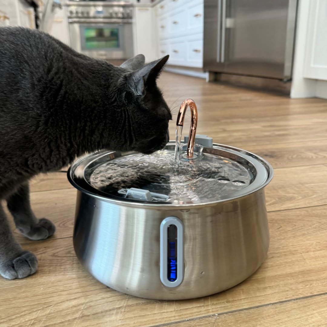 KittySpout smooth-water-flow attracts cats to drink more regularly.