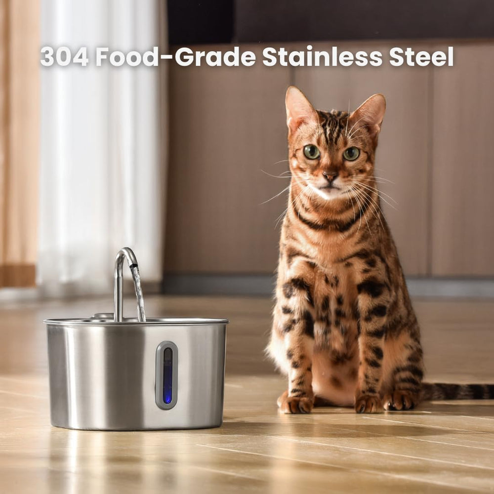 KittySpout water flow with quiet pump demonstrates peaceful operation for indoor homes.