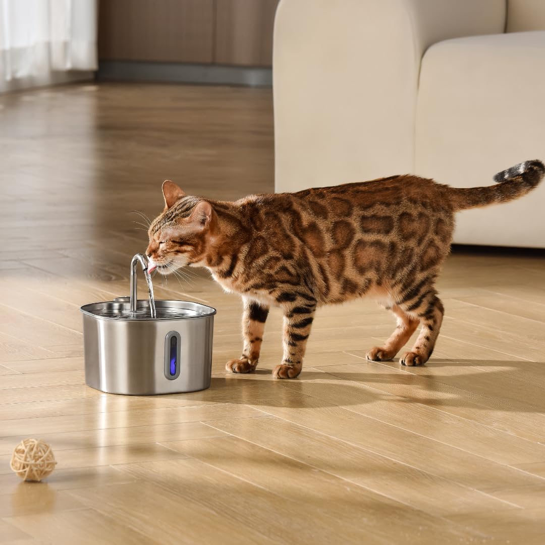 KittySpout built-in water level indicator helps monitor hydration at a glance.