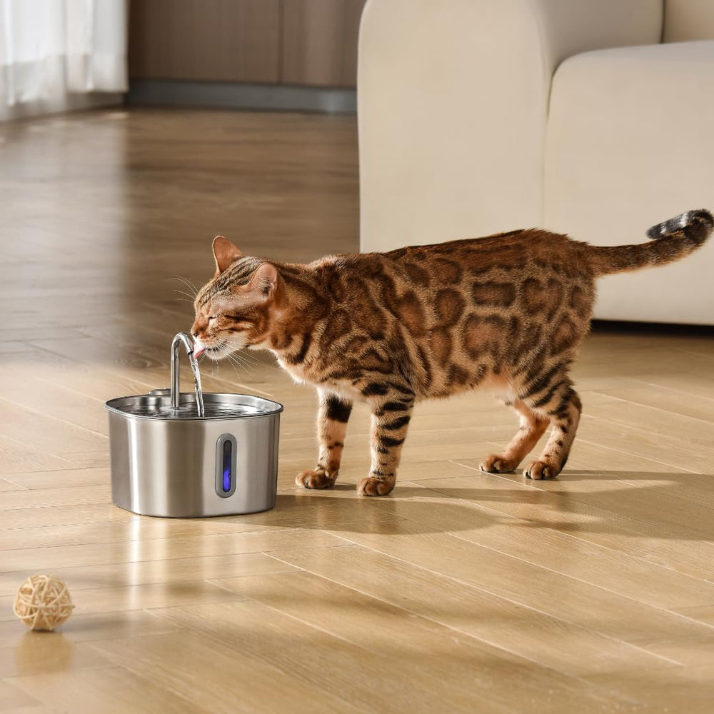 KittySpout built-in water level indicator helps monitor hydration at a glance.