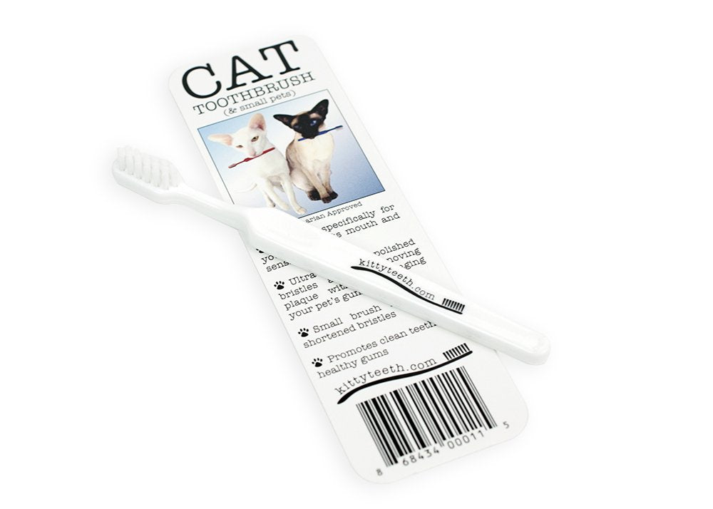 Kittyteeth brushing scene with pet shows routine dental care for happier meals.
