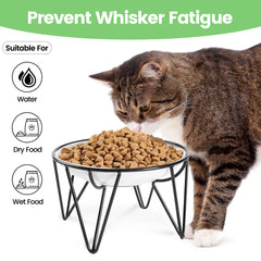 Kitwinney black metal crown-style stand supporting the elevated bowl
