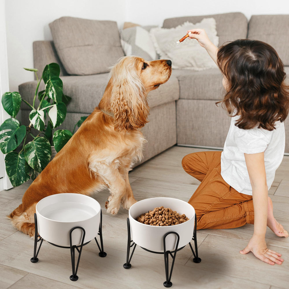 Kitwinney two-pack elevated bowls create a neat dining setup