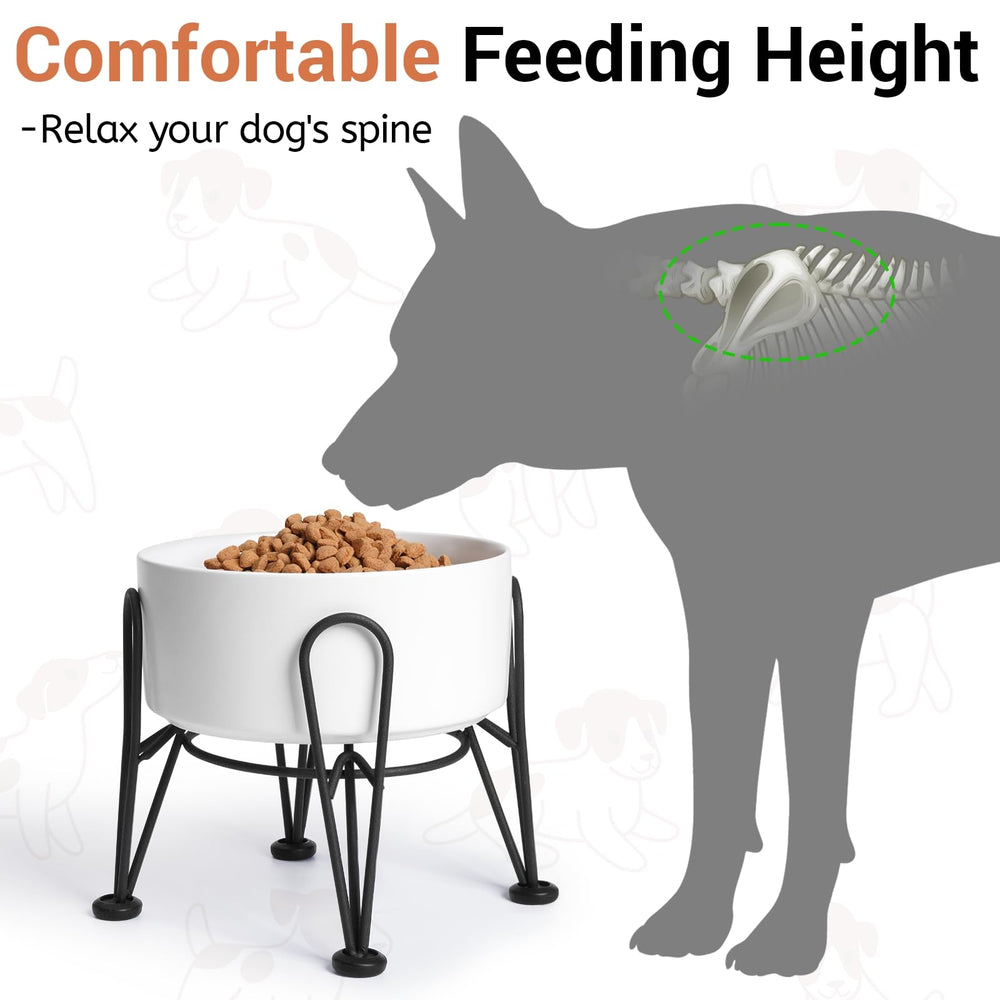 Kitwinney elevated dog bowl on metal stand demonstrating sturdy height support