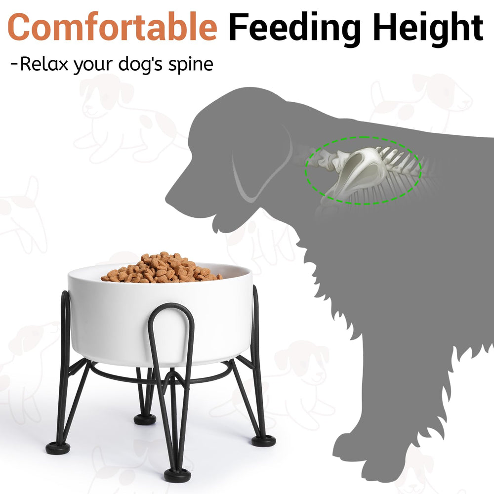 Kitwinney raised dog bowls on stand reduces neck strain during meals