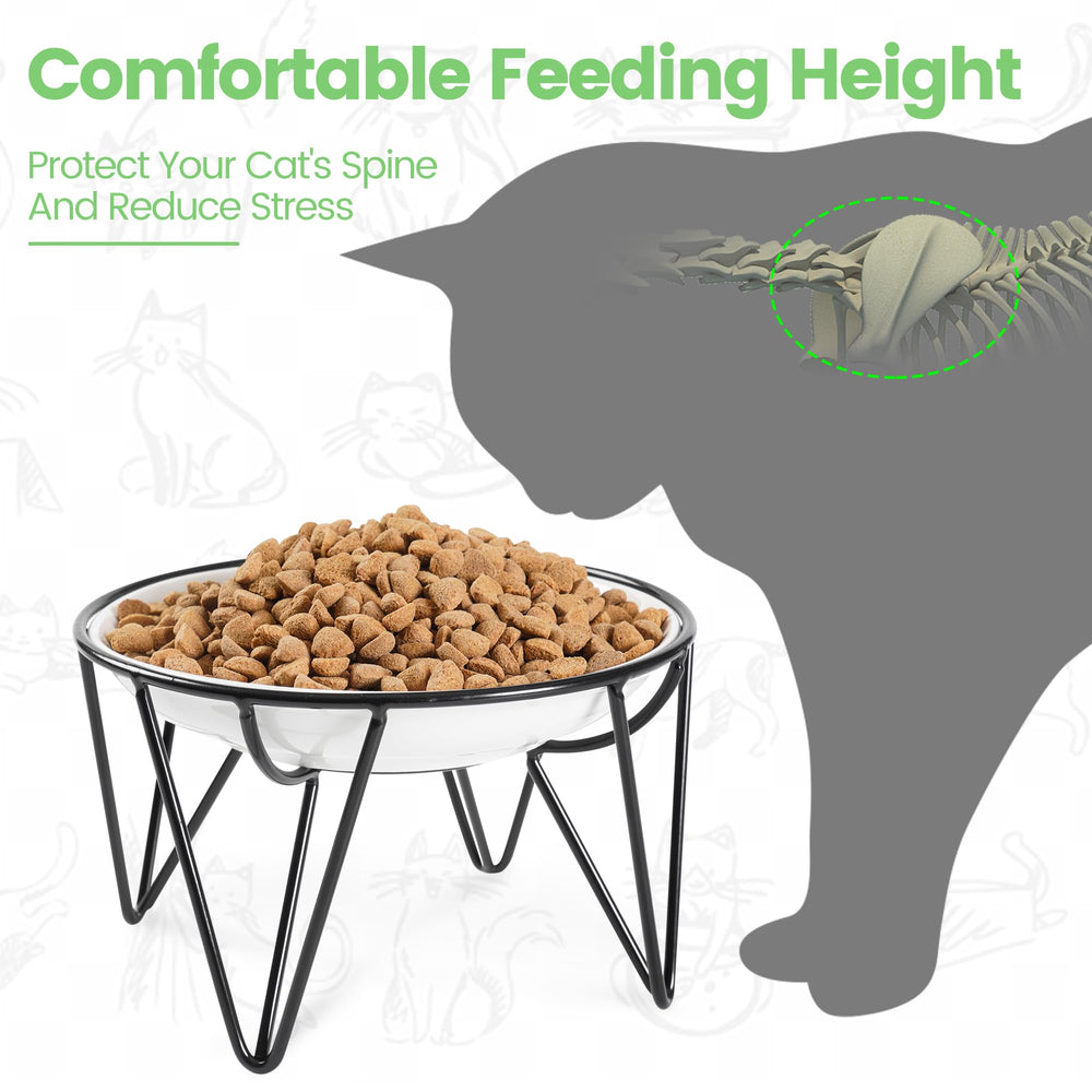 Kitwinney whisker-friendly design image highlighting the wide shallow bowl