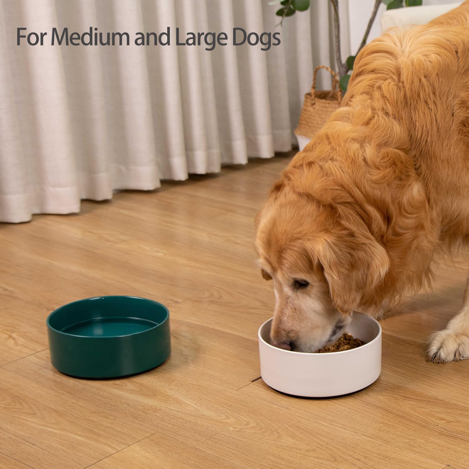 Kitwinney wide-deep capacity bowl keeps food and water mess-free.