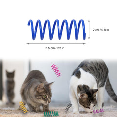 Kitys Fatch 12-colors cat spring closeup highlights vibrant hues for hunting instincts.
