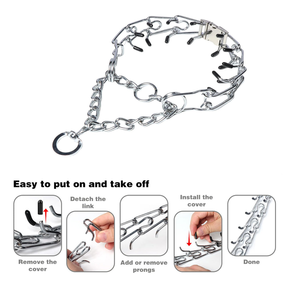 Kitys Fatch dog training collar worn during a calm walking session.