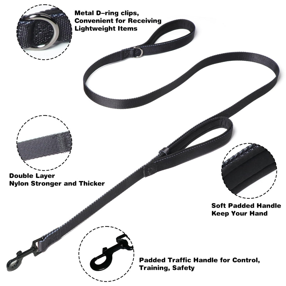 Kitys Fatch training leash 5ft in use during a practice walk.
