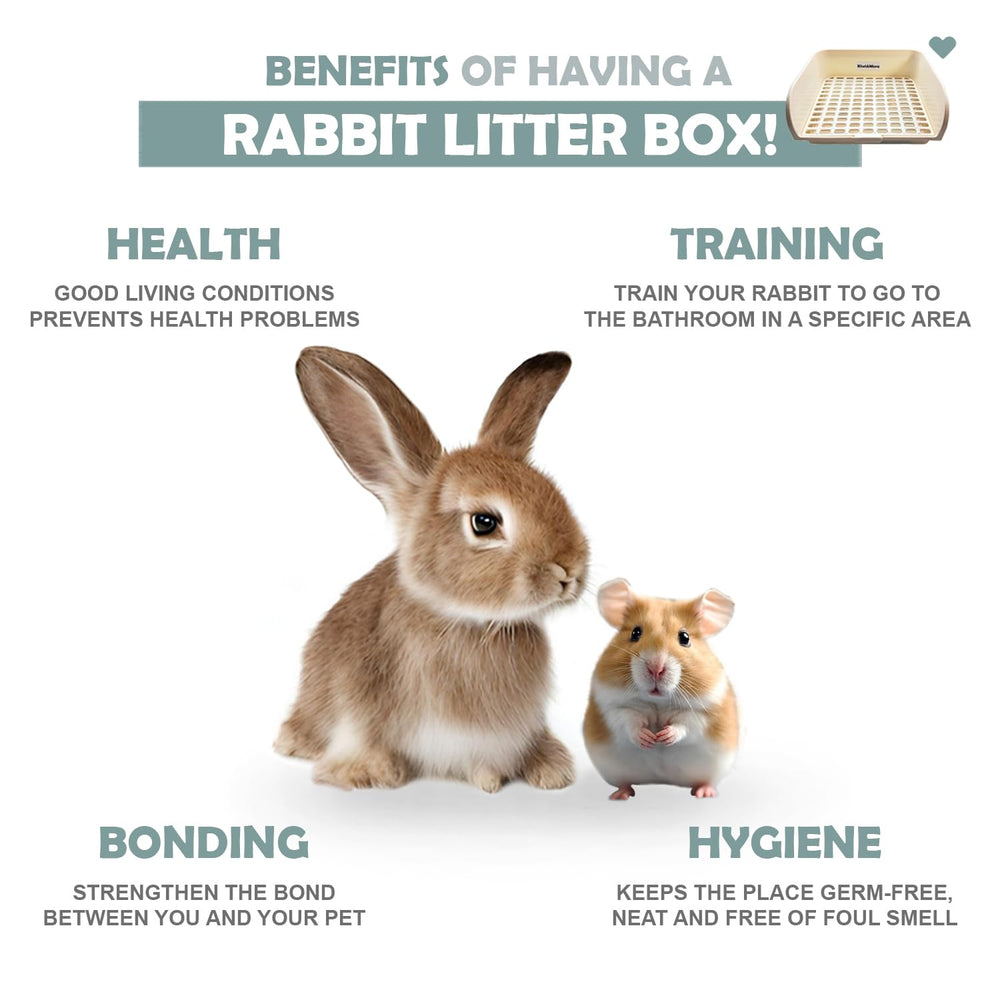 Kiwi & Mora rabbit litter box stain prevention helps keep corners cleaner between changes.
