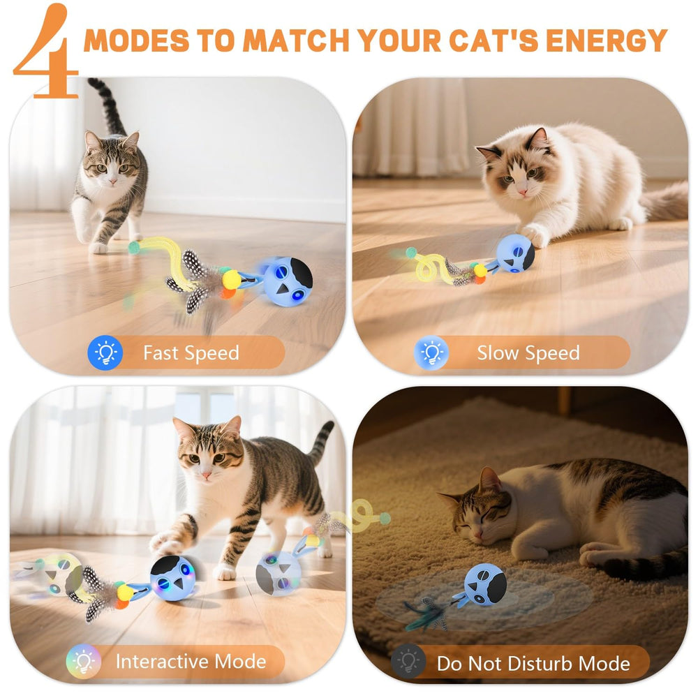 KiwiLove blue ball chasing action drives exercise and fun