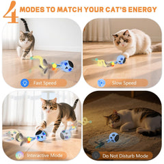 KiwiLove blue ball chasing action drives exercise and fun