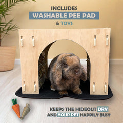 Kiwi & Mora Untreated Wood Safe Design emphasizes chew-friendly, toxin-free materials for confident setup.