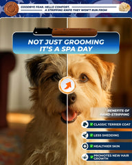 KIZO ESLO stripping knife in use on terrier highlights gentle handling during grooming.