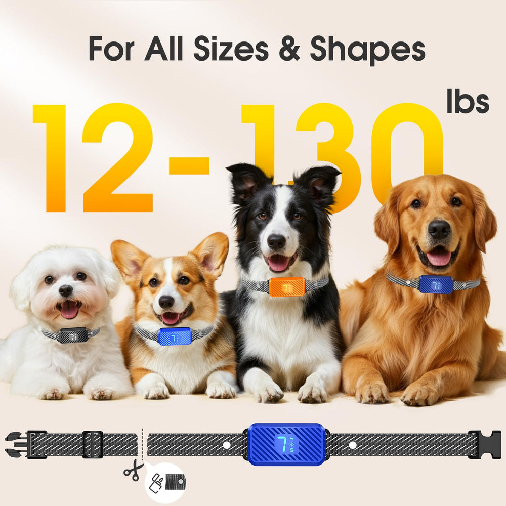 KJKZO bark collar IP65 waterproof rating image for rainy day training.