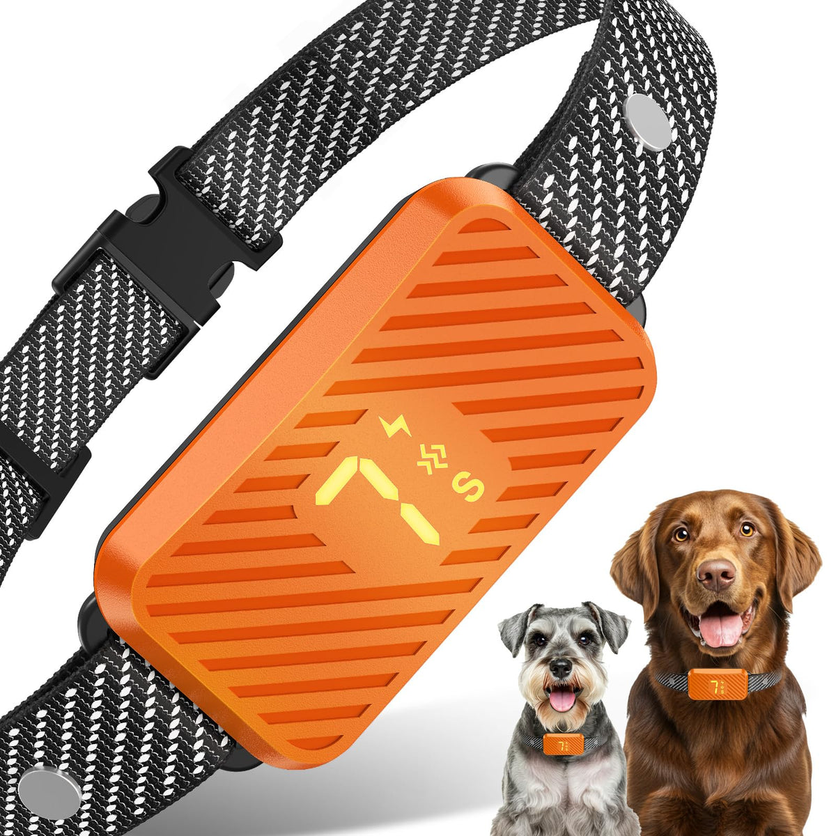 KJKZO bark collar on a dog's neck demonstrates adjustable fit for small to large dogs