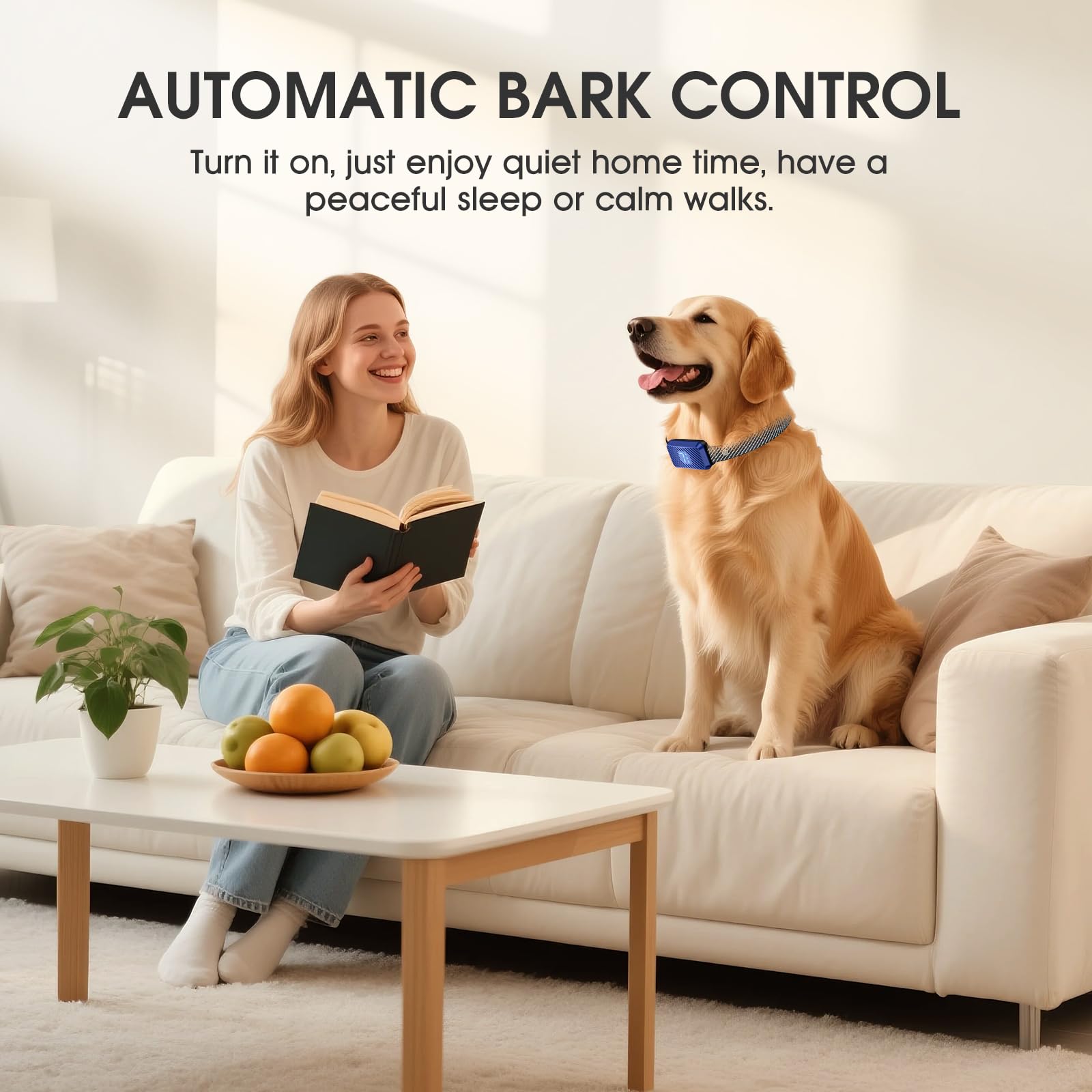 KJKZO adjustable-fit collar suits large, medium, and small dogs for everyday training