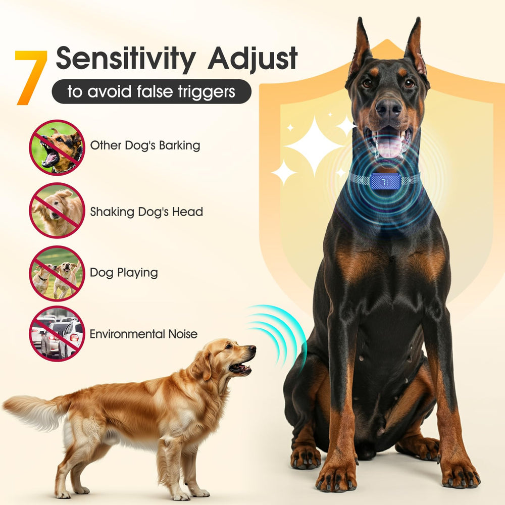 KJKZO AI sensor view demonstrates dual-sensor tech for fewer false triggers