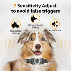 KJKZO bark collar sensor activation close-up showing dual-detection