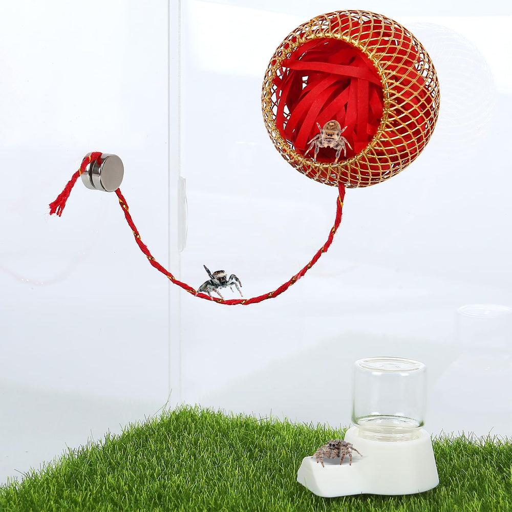 kkaririzhhi christmas style spider enclosure kit demonstrates seasonal theme with practical habitat upgrades