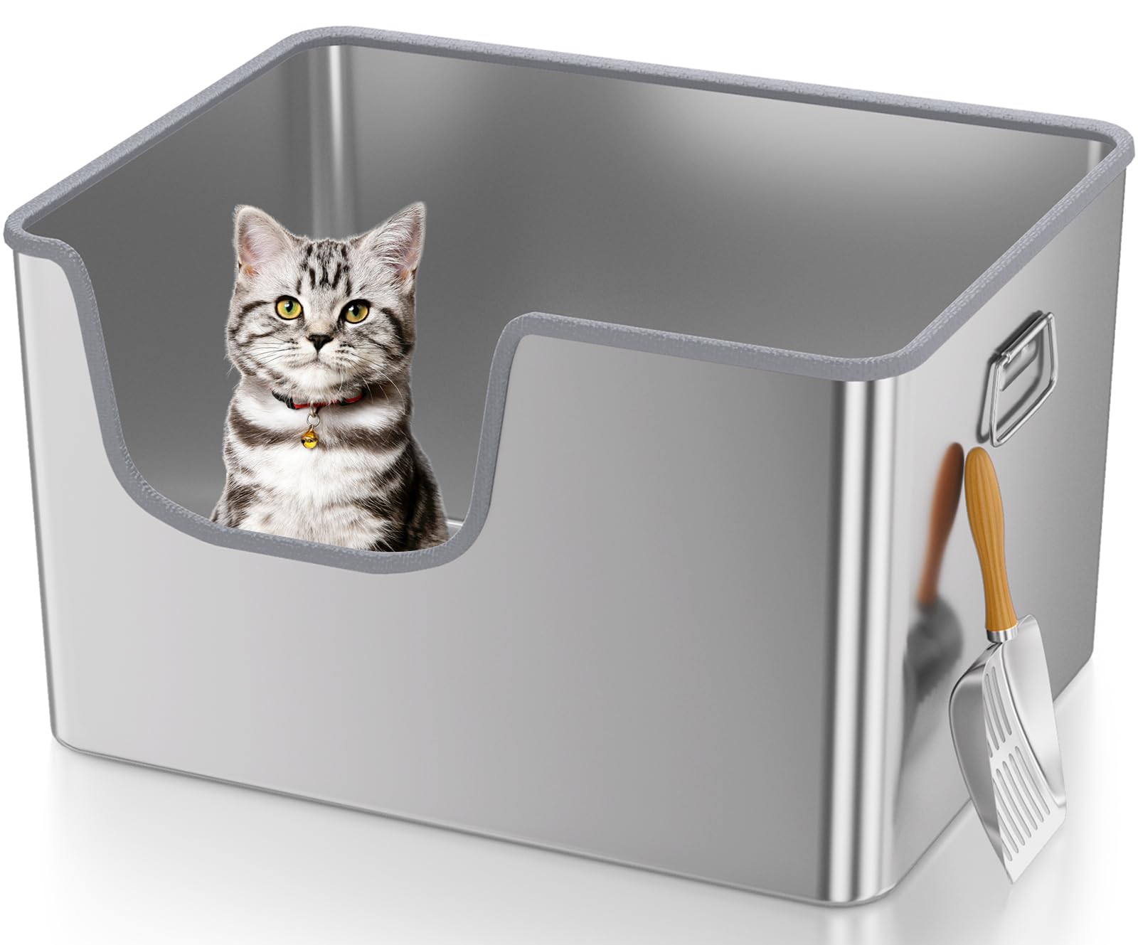 Klarana 40L capacity supports longer use between refills for busy households.