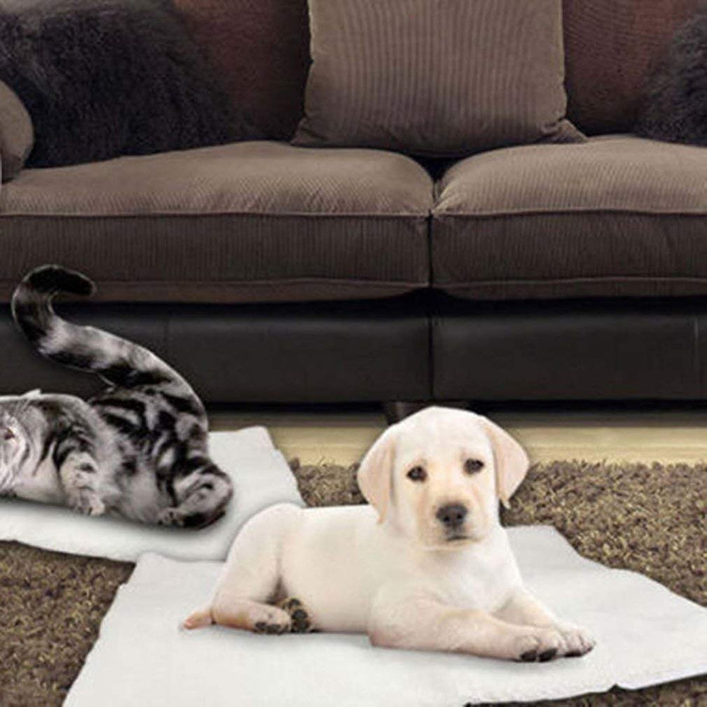 Klemon Self-Warming Pad heat without electricity feature highlighted.