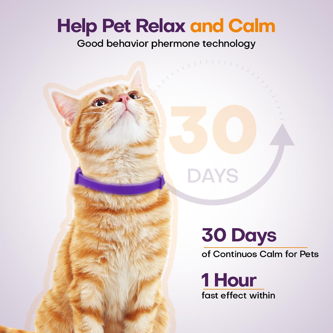 Klioak collar adjustable breakaway ensures safety while keeping cat calm.