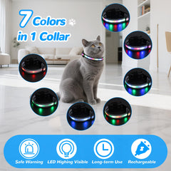 KMXASP breakaway cat collar demonstrates secure safety during active play