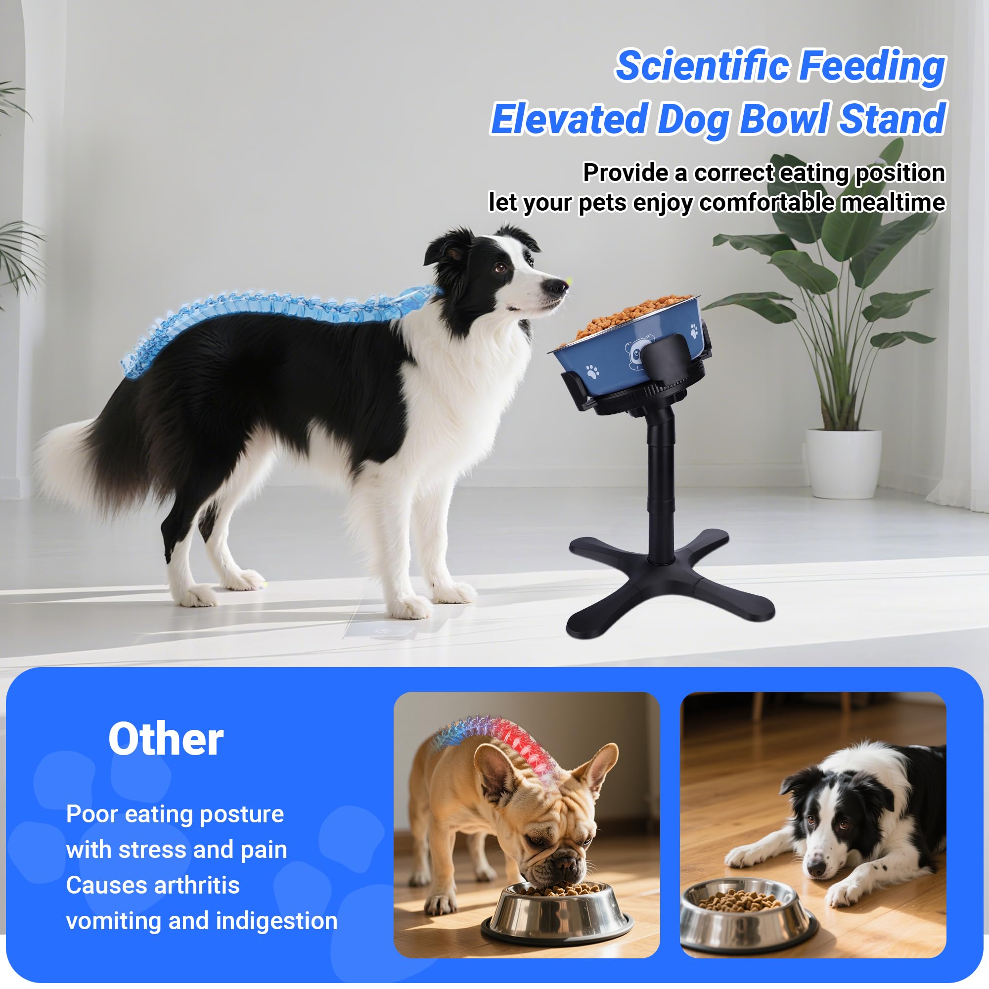 KMXASP height-adjustable dog bowl stand offers three tilt heights for growing dogs.
