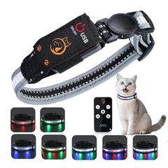 KMXASP LED cat collar remote-control in use for safer night walks