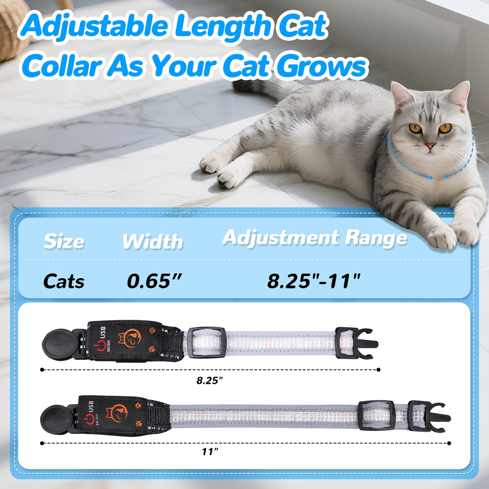 KMXASP waterproof LED collar withstands splashes and rain during nightly outings