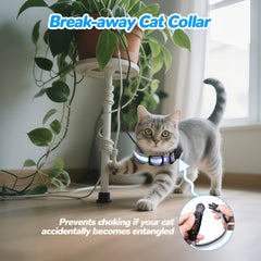KMXASP rechargeable LED cat collar charges quickly for extended evening glow