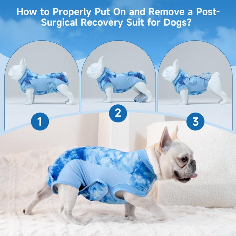 Knafe Recovery Suit adjustable sizes for breeds for a secure fit.