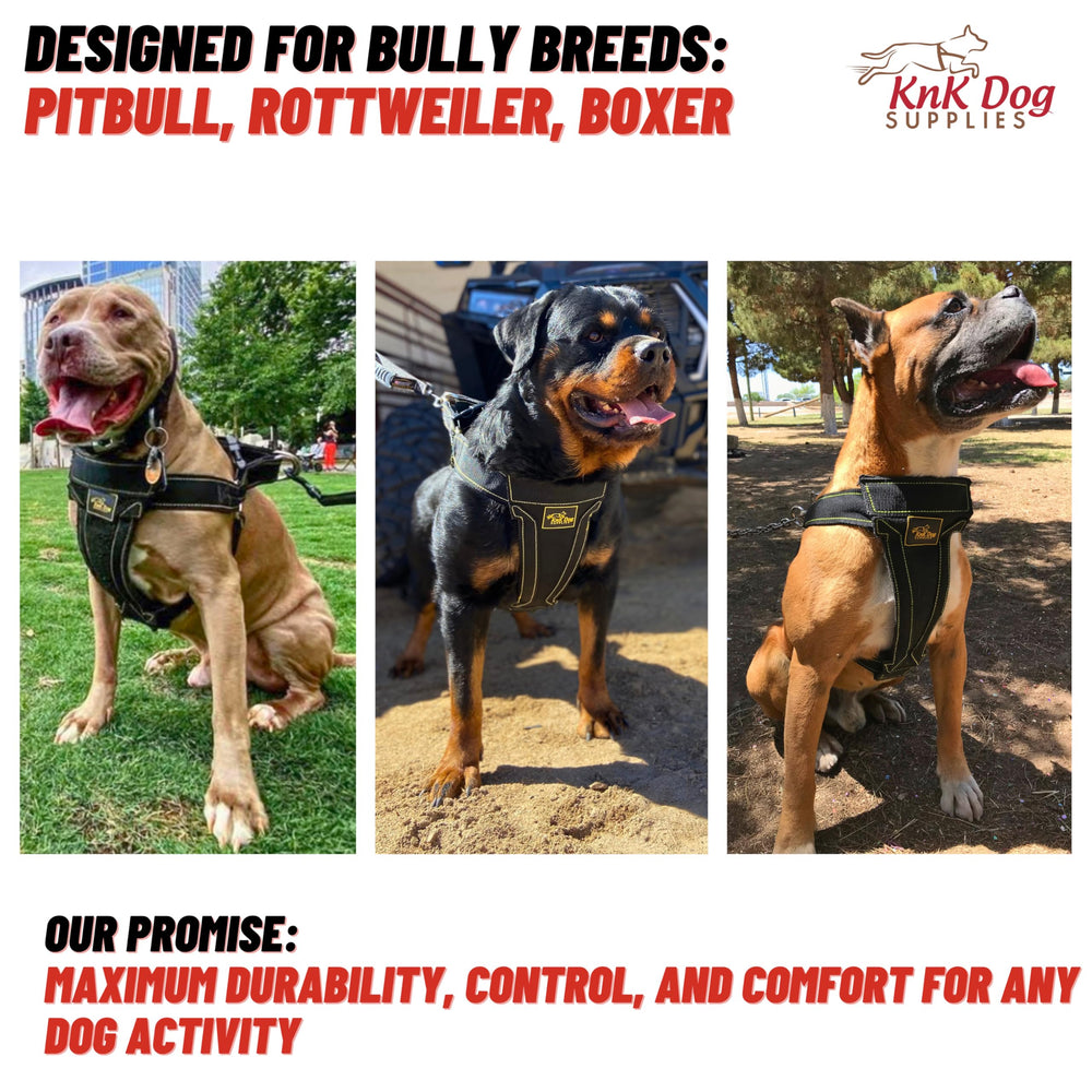 KNK heavy duty dog harness adjustable strap closeup demonstrates secure fit for XL dogs.