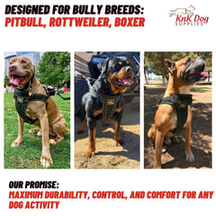 KNK heavy duty dog harness adjustable strap closeup demonstrates secure fit for XL dogs.
