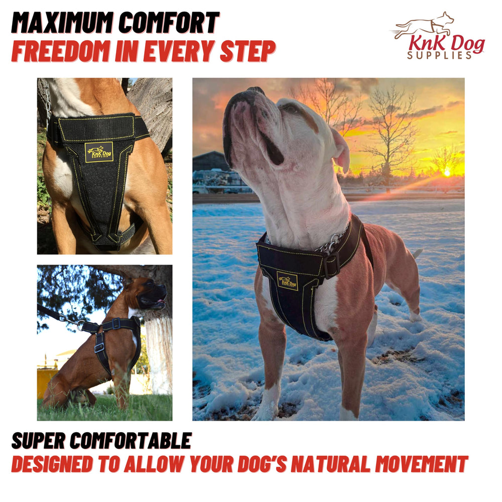 KNK heavy duty dog harness no-pull design supports controlled, safer walking.