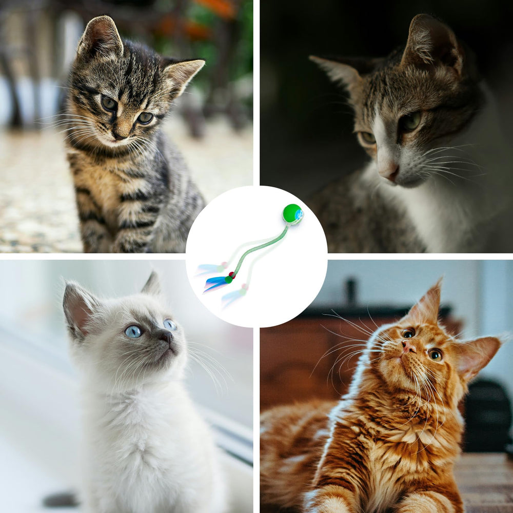 KNMIPJD durable pet-safe materials ensure long-lasting home use.