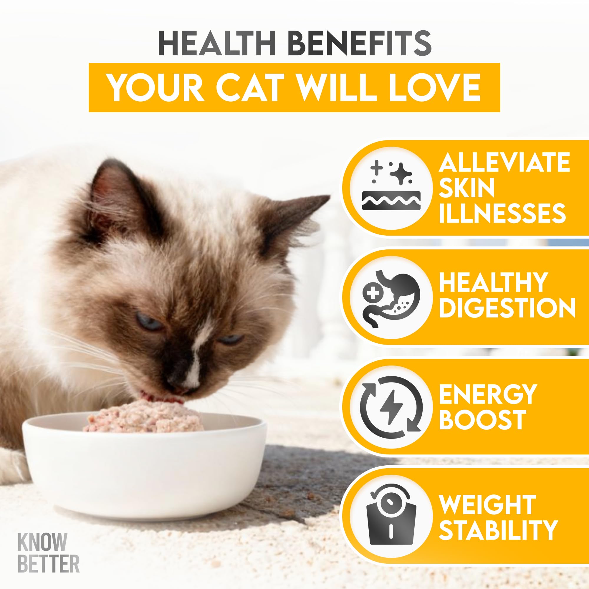 Know Better Pet Food chicken premix mixing with water reveals easy homemade cat food