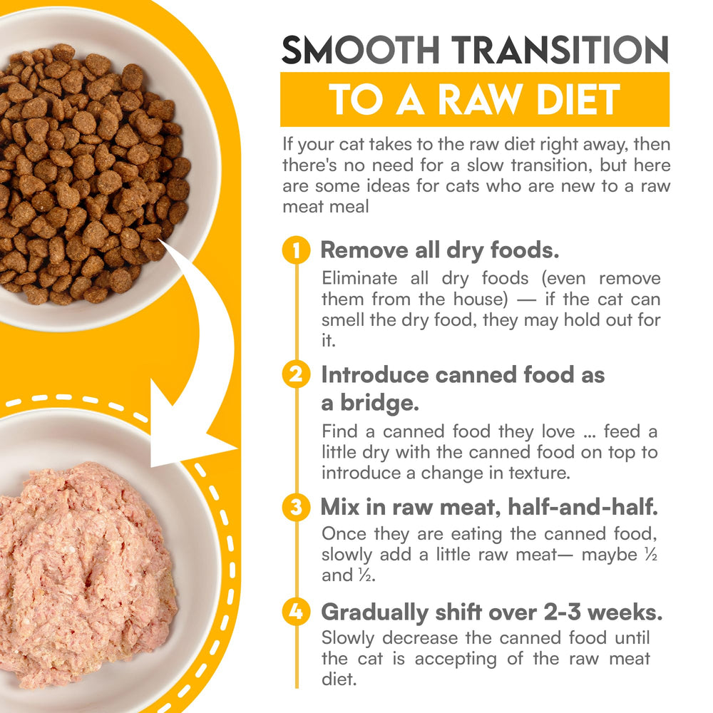 Know Better Pet Food chicken premix with raw meat creates nutritious meals for active cats