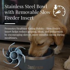 KNRV Commerce non-slip base keeps the bowl secure during eager eaters