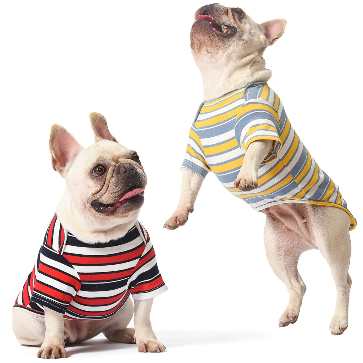 Knuffelen dog shirts striped red yellow front view offers breathable daily wear.
